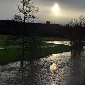 Maart de vuile taart