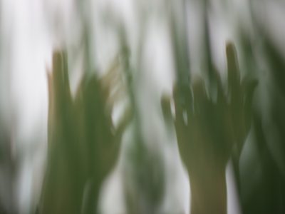 andrei-lazarev-632432-unsplash andrei-lazarev-632432-unsplash