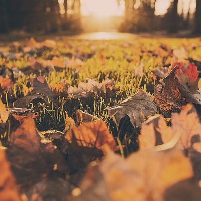 herfstfoto Vrouwencirkel rond het thema Herfst